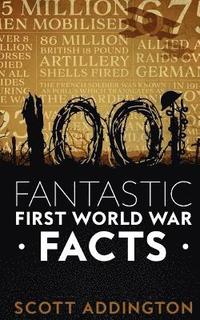bokomslag 1001 Fantastic First World War Facts