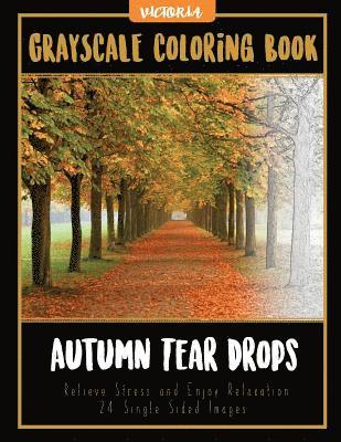 Autumn Tear Drops Landscapes: Grayscale Coloring Book Relieve Stress and Enjoy Relaxation 24 Single Sided Images 1