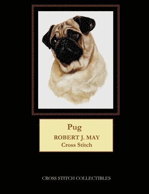 Pug 1