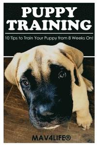 bokomslag Puppy Training