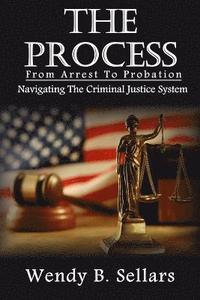 bokomslag The Process: Navigating The Criminal Justice System