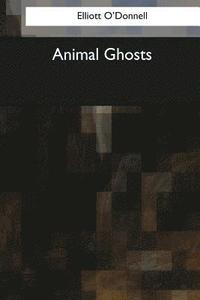 bokomslag Animal Ghosts