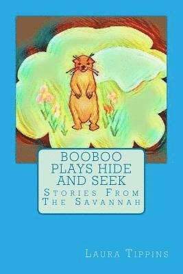 Booboo Plays Hide and Seek: Stories From The Savannah 1