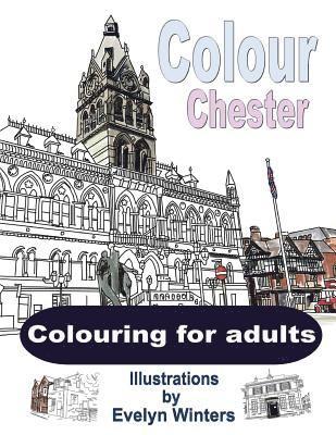 bokomslag Colour Chester