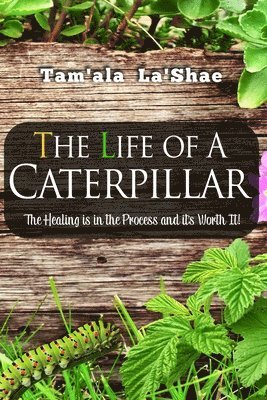 The Life Of A Caterpillar: The Healing Is In the Process and It's Worth It! 1