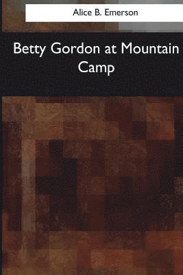 bokomslag Betty Gordon at Mountain Camp