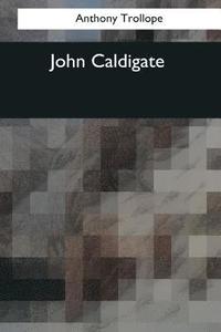 bokomslag John Caldigate