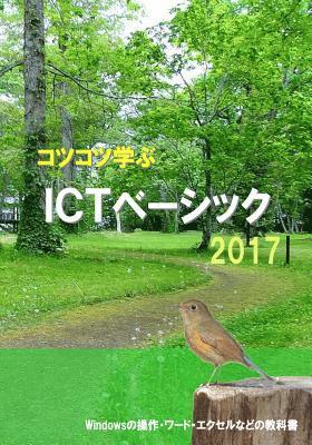 bokomslag Study Steadily ICT Basic 2017