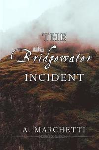 bokomslag The Bridgewater Incident