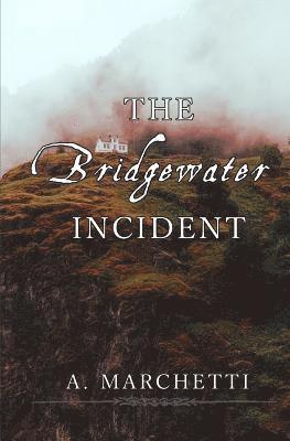 bokomslag The Bridgewater Incident