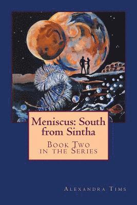 Meniscus: South from Sintha 1