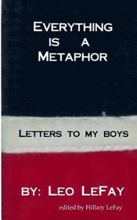 bokomslag Everything is a Metaphor: Letters To My Boys