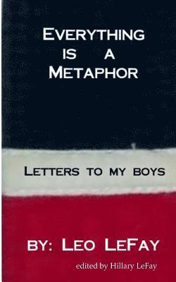 bokomslag Everything is a Metaphor: Letters To My Boys