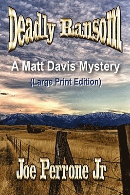 Deadly Ransom: A Matt Davis Mystery: (Large Print Edition) 1