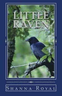 bokomslag Little Raven