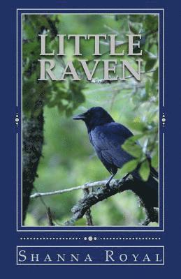 Shanna Royal - Little Raven, Häftad