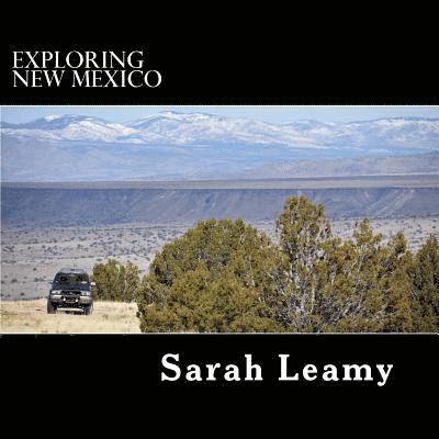 Exploring New Mexico 1