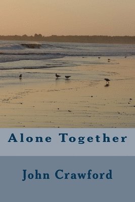 bokomslag Alone Together