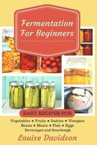 bokomslag Fermentation for Beginners