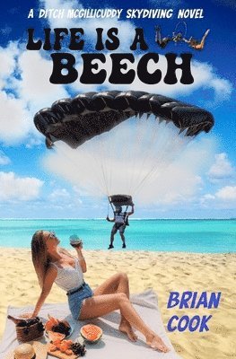 Life is a Beech 1