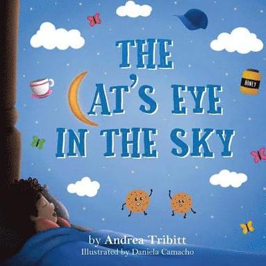 bokomslag The Cat's Eye In The Sky