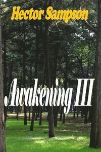 bokomslag Awakening III
