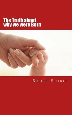 bokomslag The Truth about why we were Born