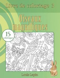 bokomslag Livre de coloriage oiseaux magnifiques: 15 coloriages