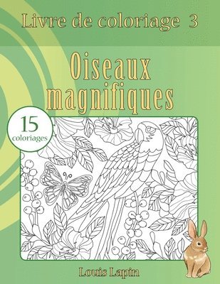 bokomslag Livre de coloriage oiseaux magnifiques: 15 coloriages