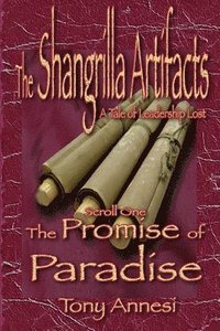 bokomslag The Promise of Paradise