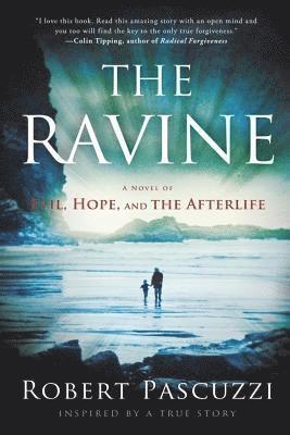 bokomslag The Ravine: A Novel of Evil, Hope, and the Afterlife