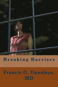bokomslag Breaking Barriers