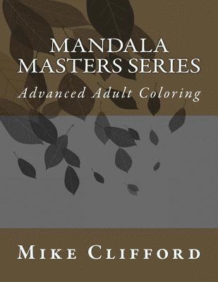 bokomslag Mandala Masters Series