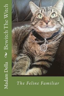 bokomslag Bewitch The Witch: The Feline Familiar