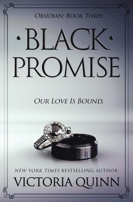 bokomslag Black Promise