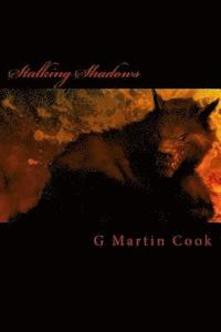 bokomslag Stalking Shadows: A Hunters for Hire Novel