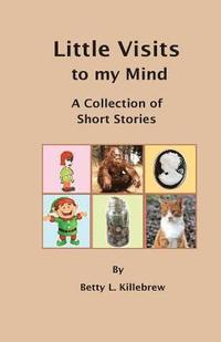 bokomslag Little Visits to my Mind: A Collection of Short Stories