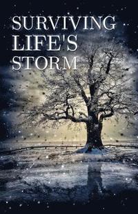 bokomslag Surviving Life's Storm