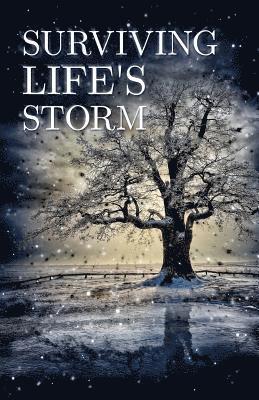 bokomslag Surviving Life's Storm