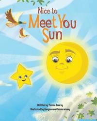 bokomslag Nice to Meet You Sun