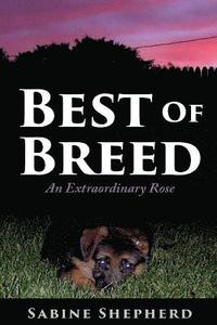 bokomslag Best of Breed: An Extraordinary Rose