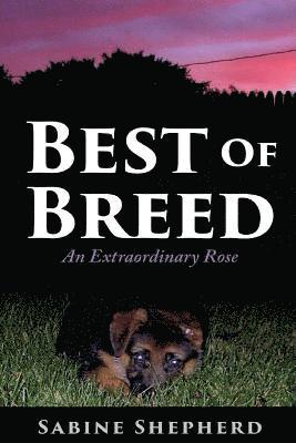 Best of Breed: An Extraordinary Rose 1