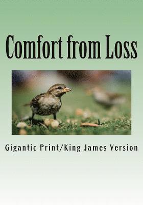 bokomslag Comfort from Loss: Giant Print Edition