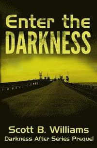 bokomslag Enter the Darkness: A Darkness After Series Prequel