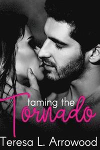 bokomslag Taming the Tornado: Life Storms Series