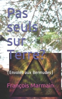 bokomslag Pas seuls sur Terre?: (Envolés aux Bermudes)