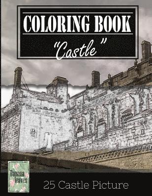 Castle History Architechture Greyscale Photo Adult Coloring Book, Mind Relaxation Stress Relief: Just added color to release your stress and power bra 1