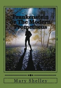 bokomslag Frankenstein or The Modern Prometheus