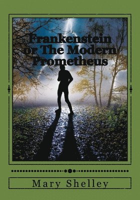 bokomslag Frankenstein or The Modern Prometheus