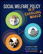 bokomslag Social Welfare Policy in a Changing World
